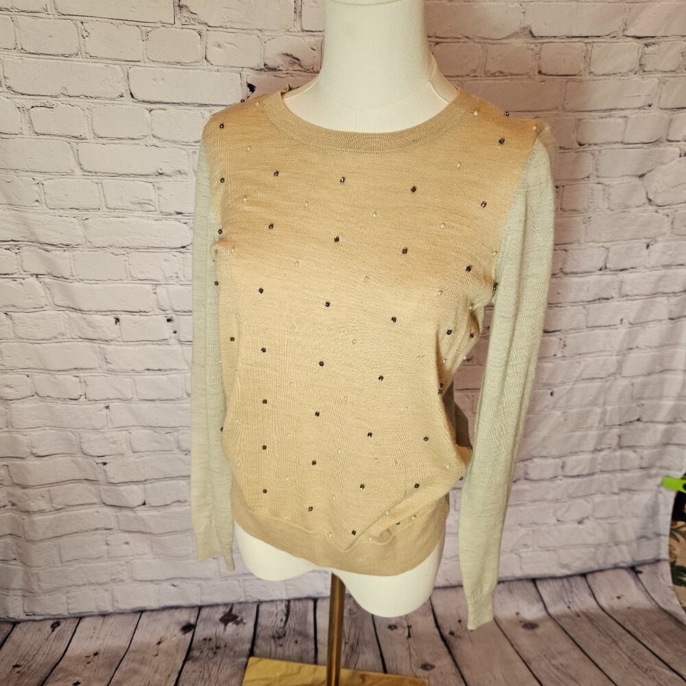 Loft Beaded Sweater